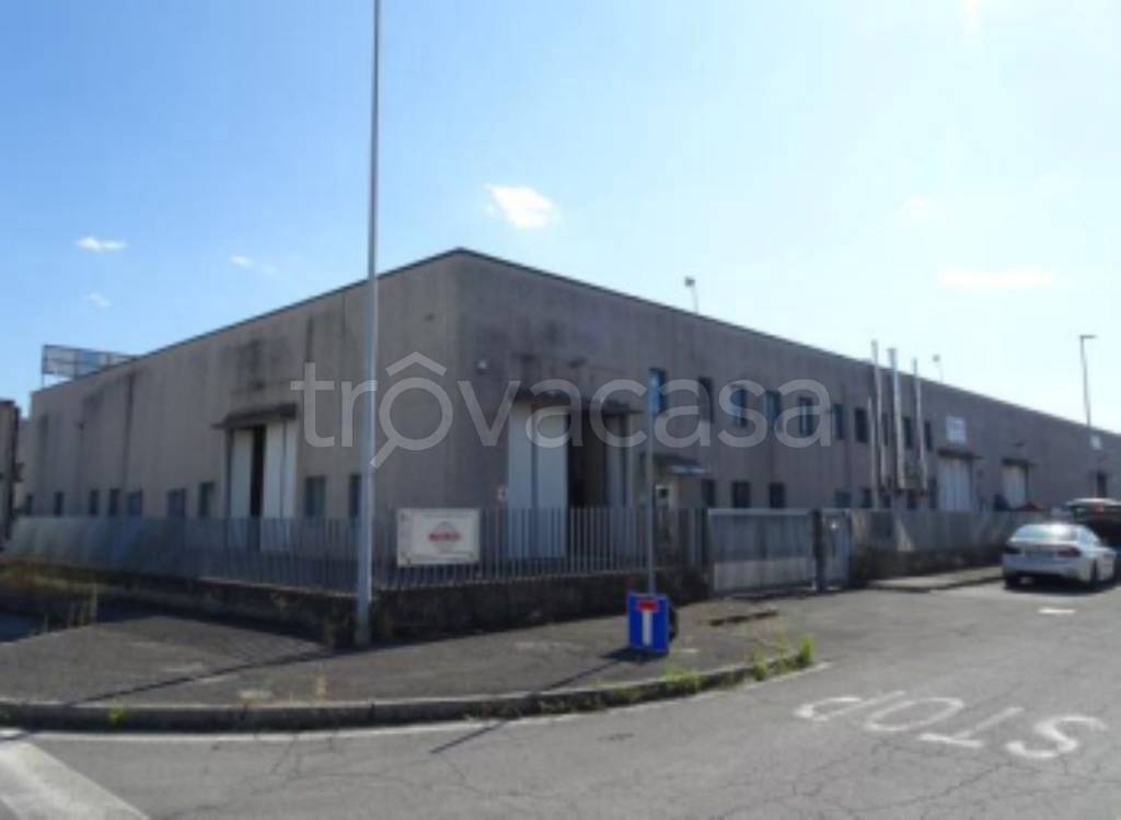 immagine annuncio 8 di 11