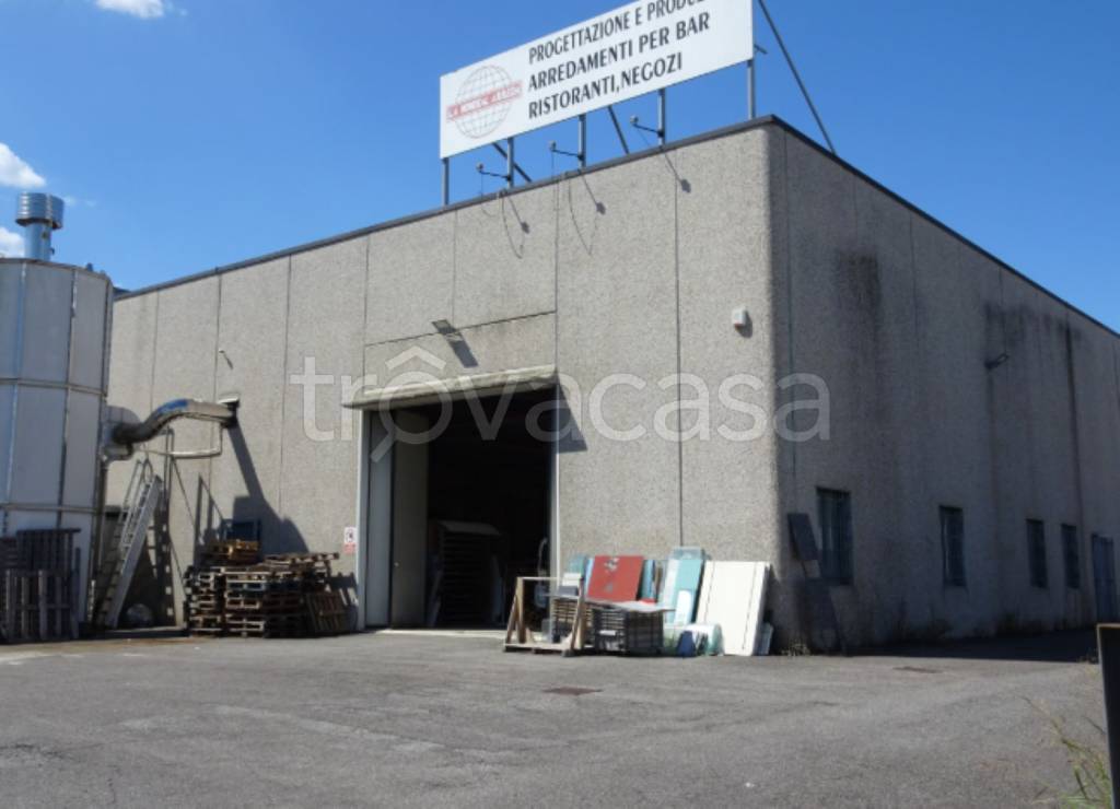 immagine annuncio 9 di 11