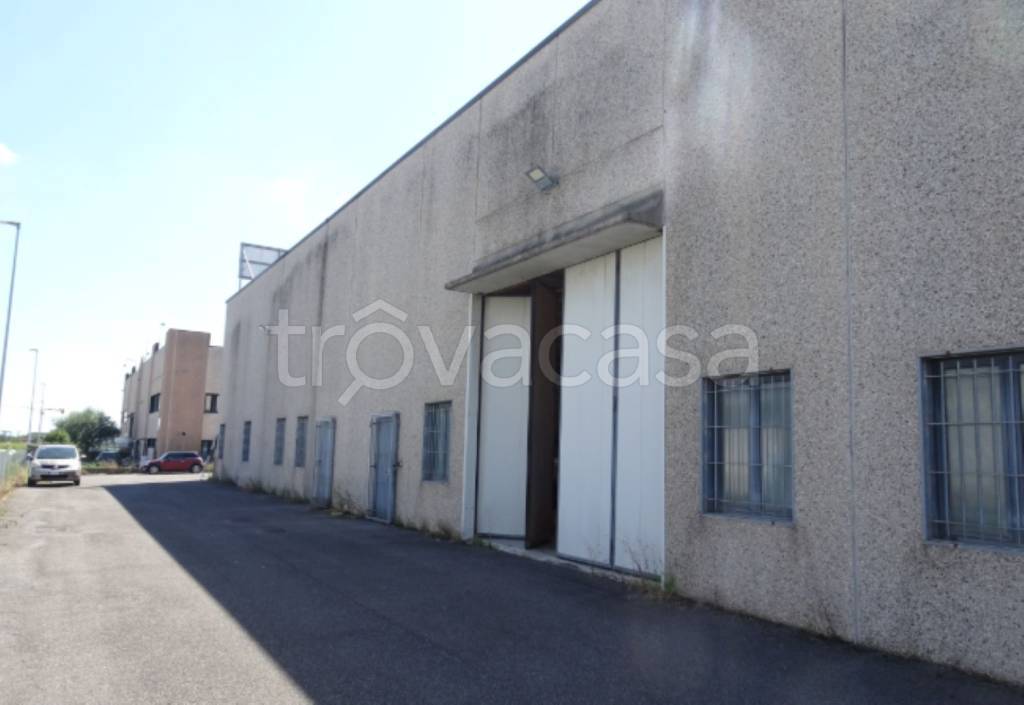 immagine annuncio 10 di 11