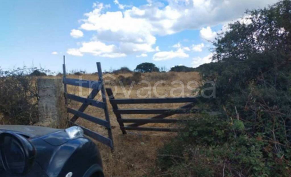 immagine annuncio 5 di 12