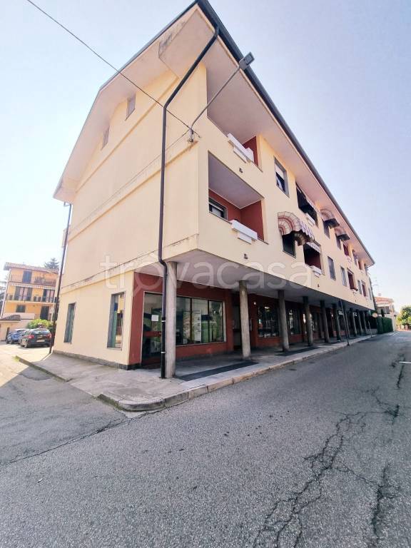 immagine annuncio 4 di 7