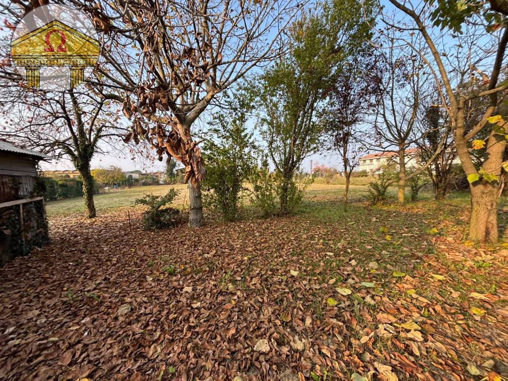 immagine annuncio 1 di 8