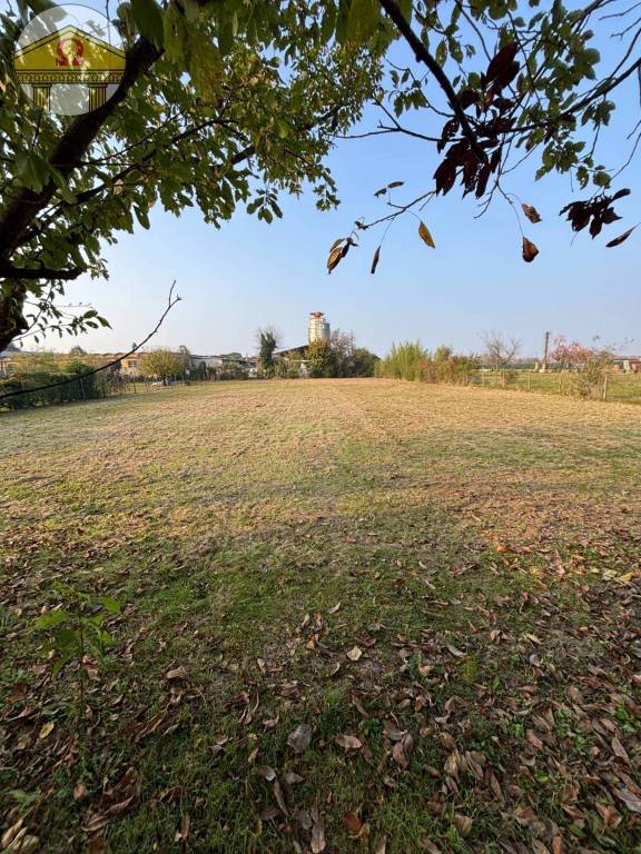 immagine annuncio 2 di 8