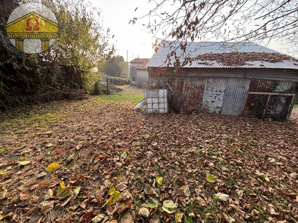 immagine annuncio 3 di 8