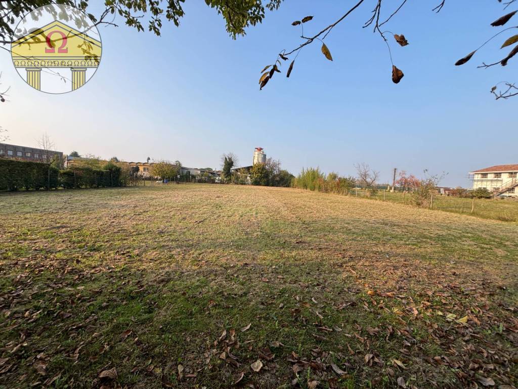 immagine annuncio 4 di 8