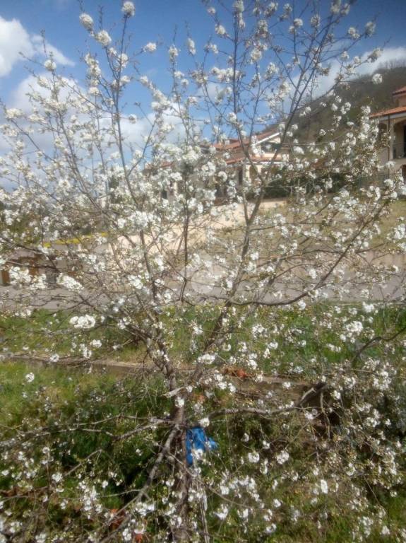 immagine annuncio 13 di 14