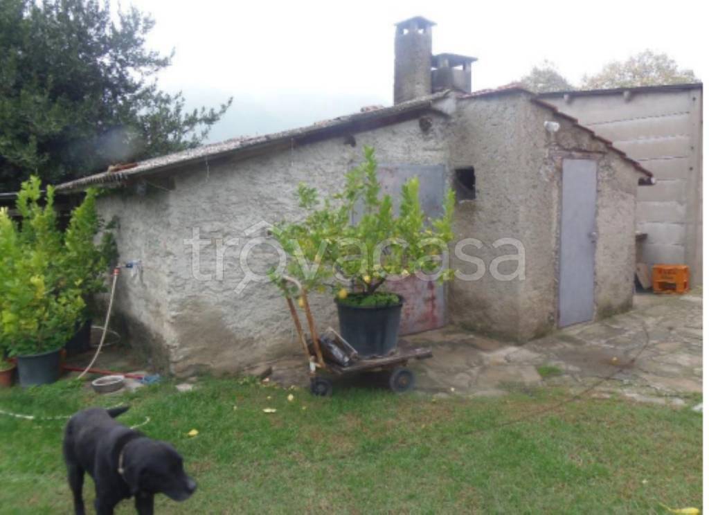 immagine annuncio 7 di 12