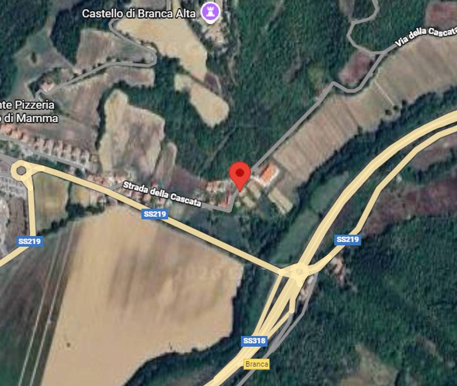 immagine annuncio 3 di 11