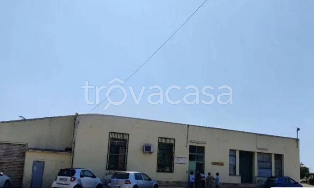 immagine annuncio 1 di 14