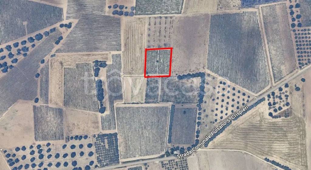 immagine annuncio 5 di 6