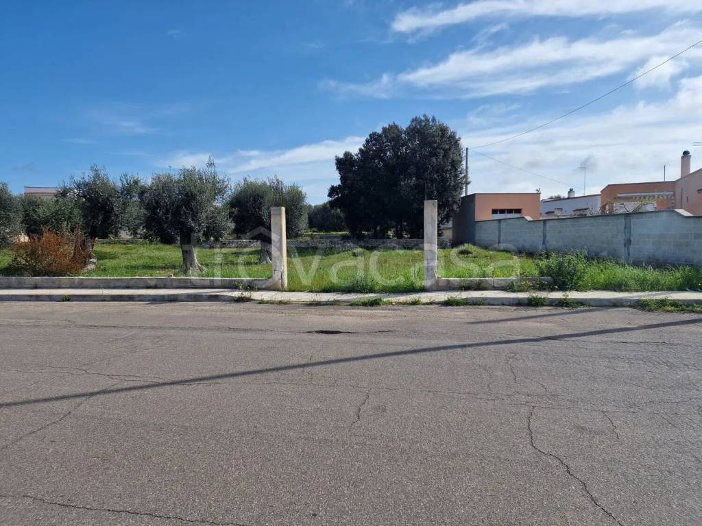 immagine annuncio 1 di 3