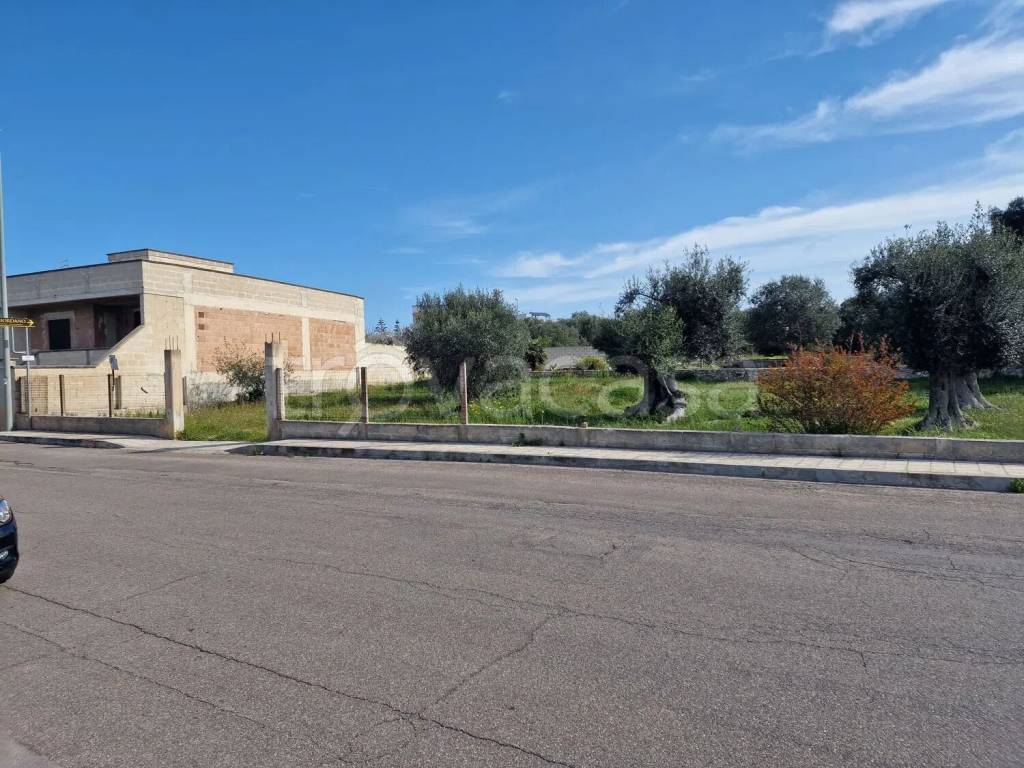 immagine annuncio 2 di 3