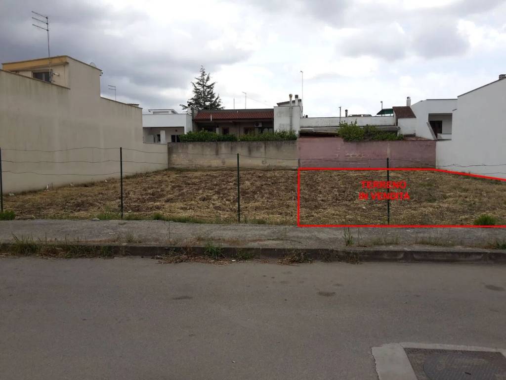 immagine annuncio 1 di 4