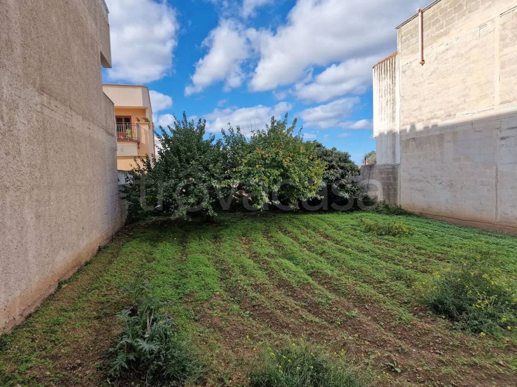 immagine annuncio 1 di 2