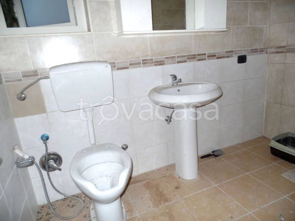 immagine annuncio 3 di 8