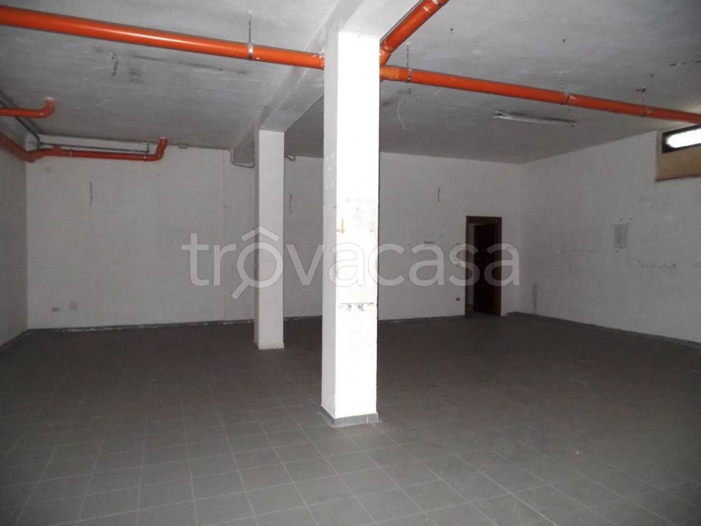 immagine annuncio 5 di 8