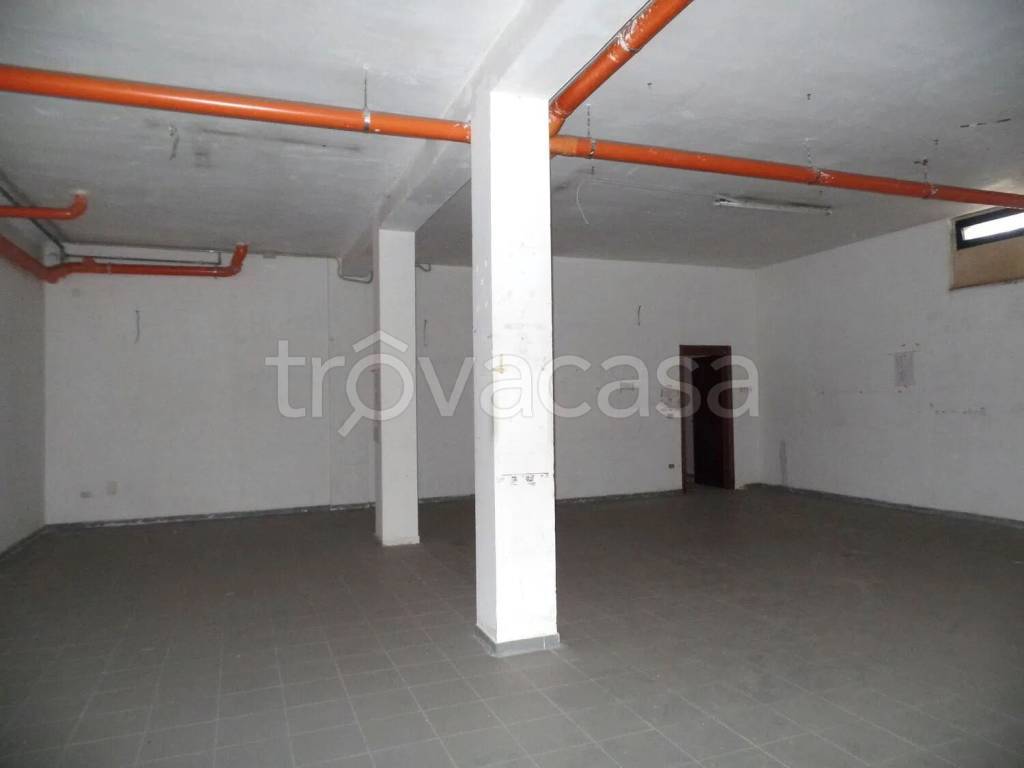 immagine annuncio 6 di 8