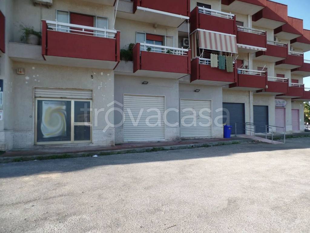 immagine annuncio 3 di 14