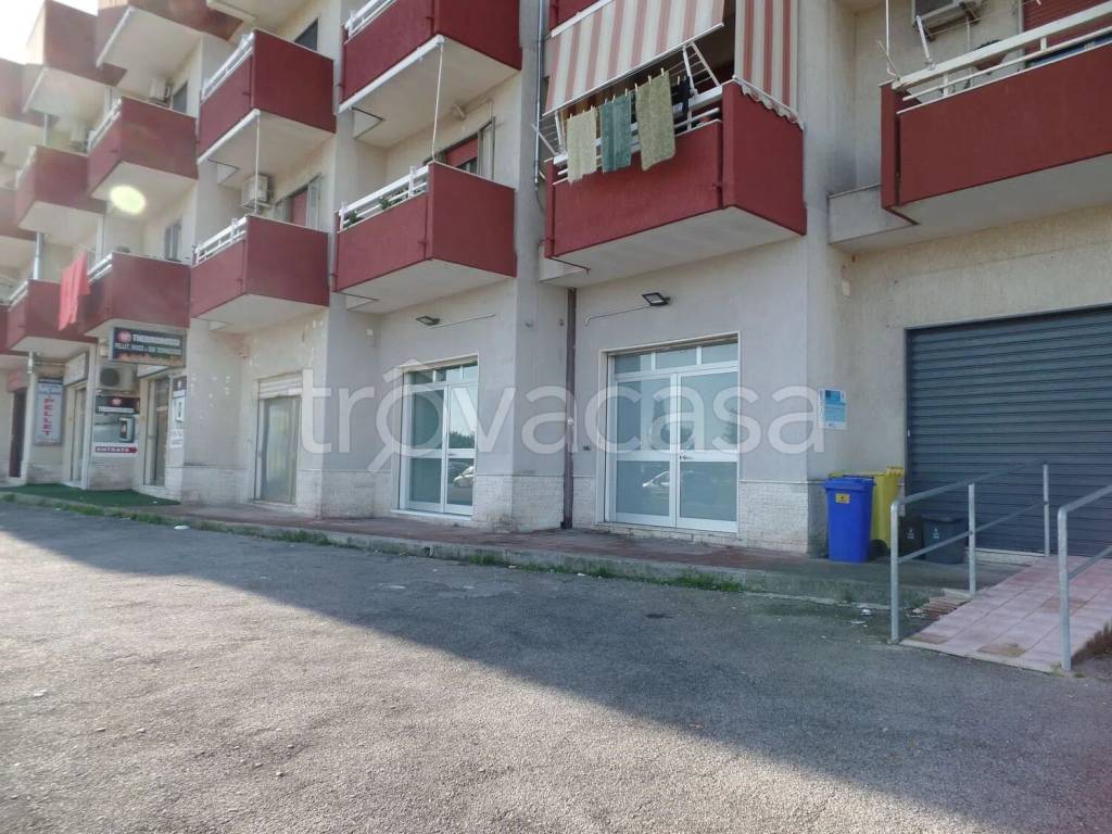 immagine annuncio 4 di 14