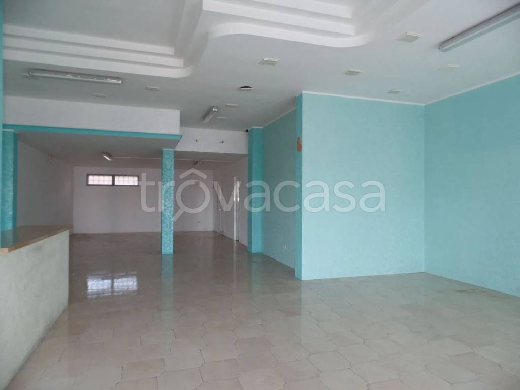 immagine annuncio 7 di 14