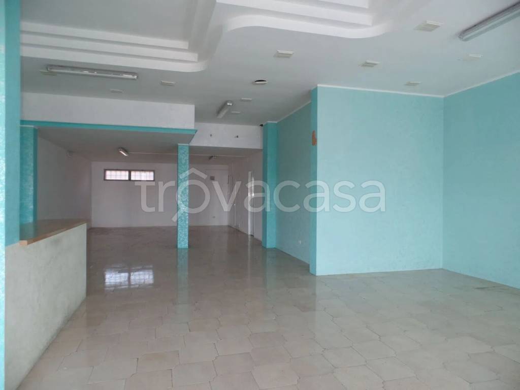 immagine annuncio 8 di 14