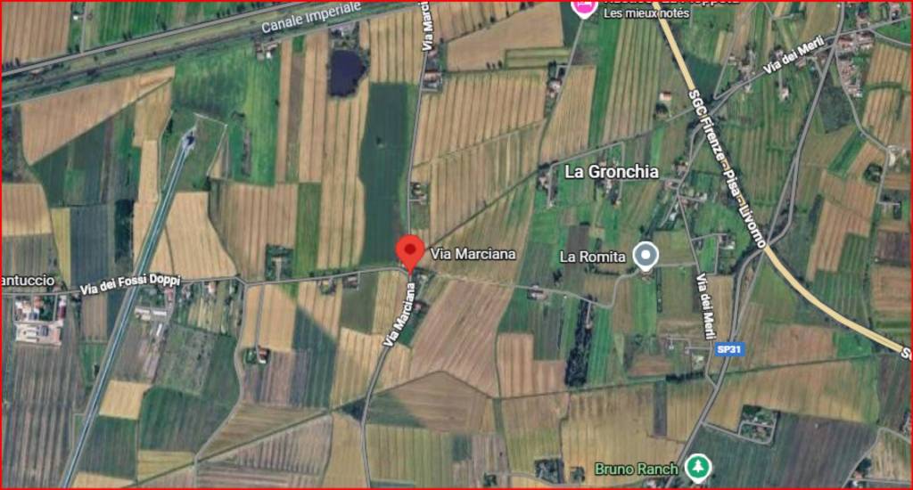 immagine annuncio 11 di 12