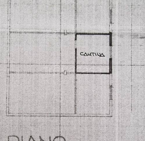 immagine annuncio 4 di 7