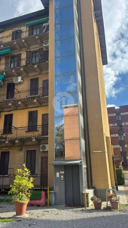 immagine annuncio 12 di 15