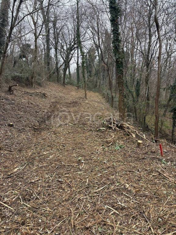 immagine annuncio 2 di 7