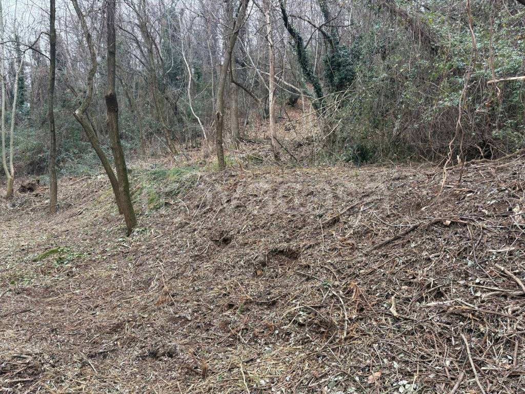 immagine annuncio 4 di 7