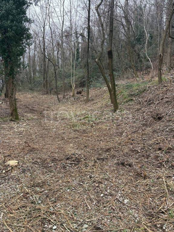 immagine annuncio 5 di 7