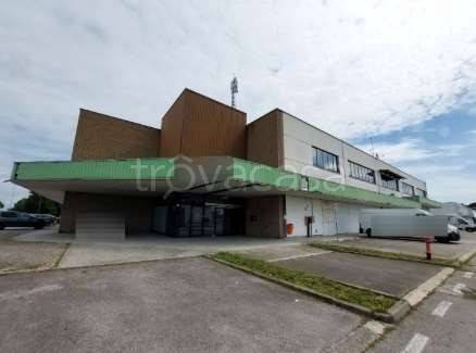 immagine annuncio 1 di 9