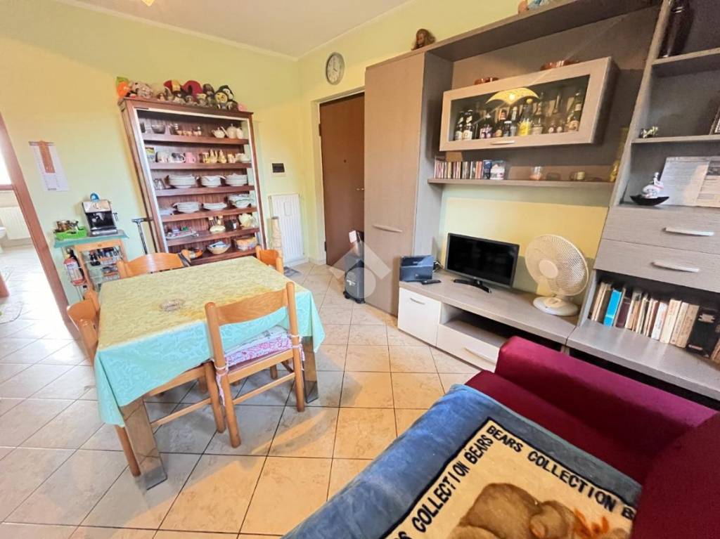 immagine annuncio 9 di 15