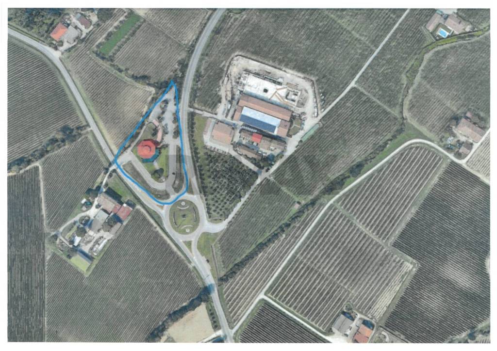 immagine annuncio 8 di 12