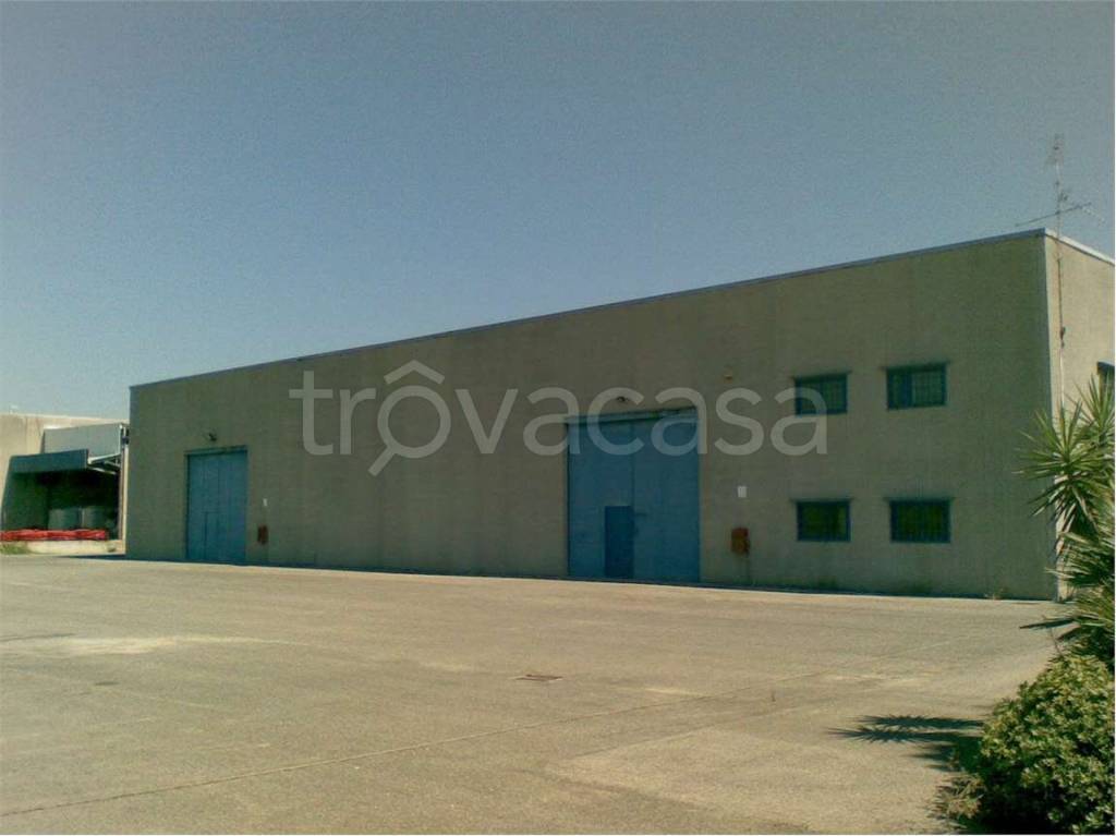 immagine annuncio 2 di 4