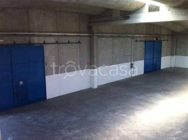 immagine annuncio 3 di 4