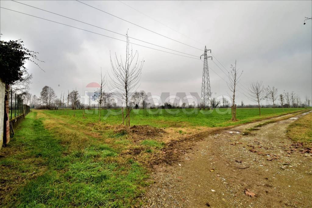 immagine annuncio 1 di 7