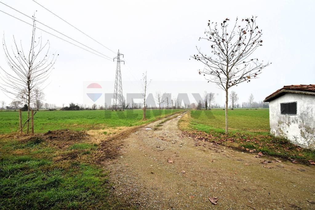 immagine annuncio 4 di 7