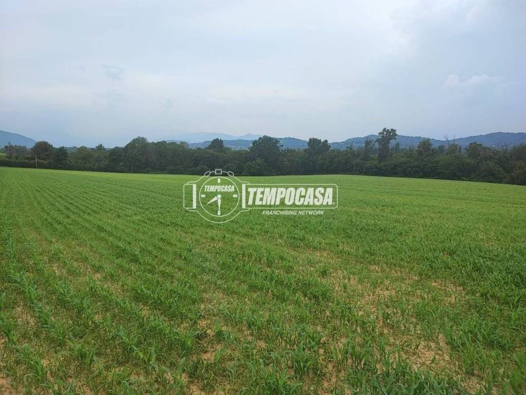 immagine annuncio 1 di 6