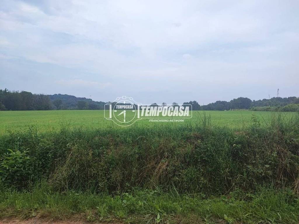 immagine annuncio 4 di 6