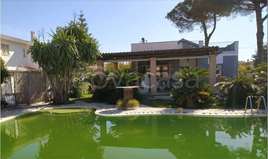 immagine annuncio 1 di 7