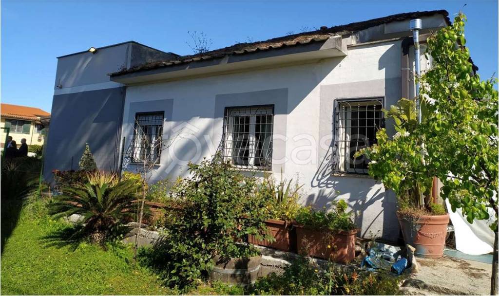 immagine annuncio 2 di 7