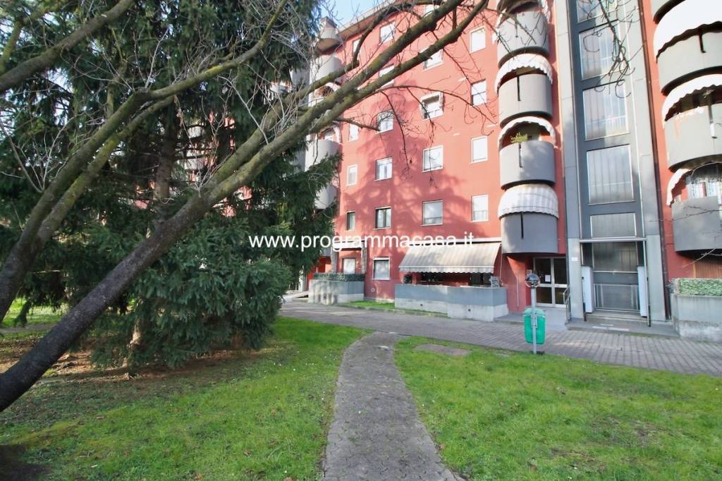 immagine annuncio 2 di 15