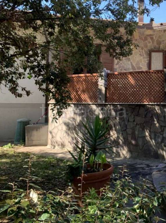 immagine annuncio 11 di 13