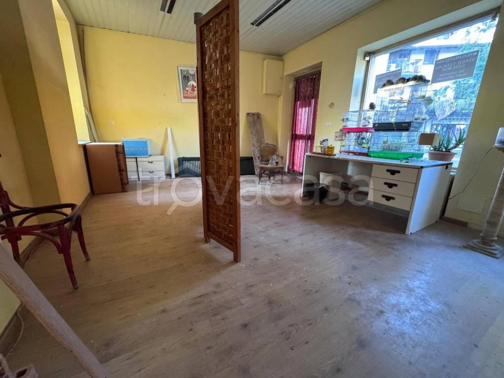 immagine annuncio 1 di 4