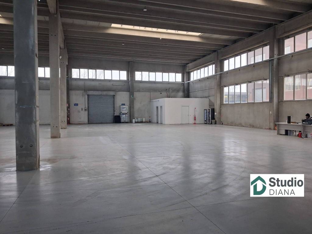 immagine annuncio 9 di 15