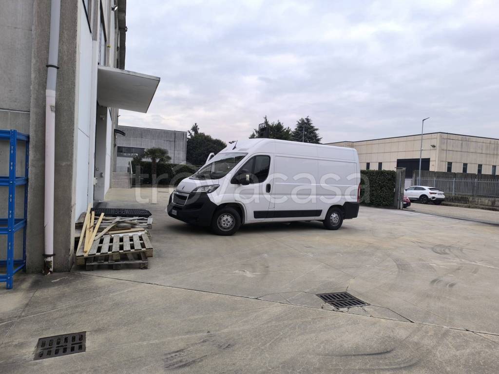 immagine annuncio 3 di 15