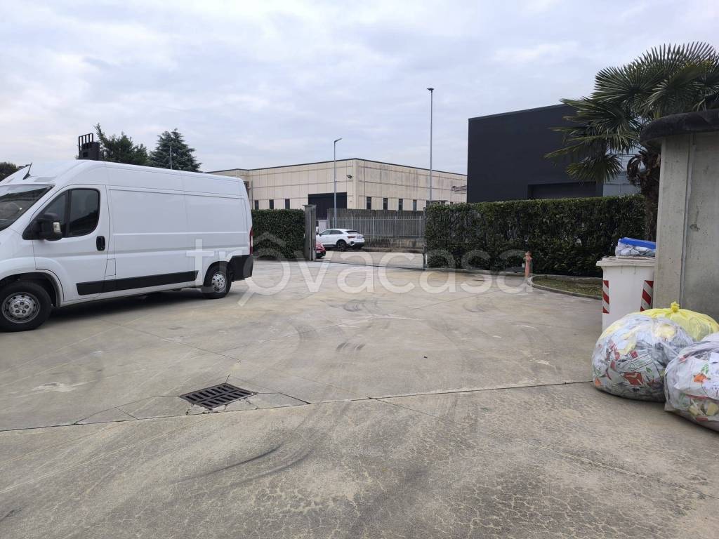 immagine annuncio 2 di 15