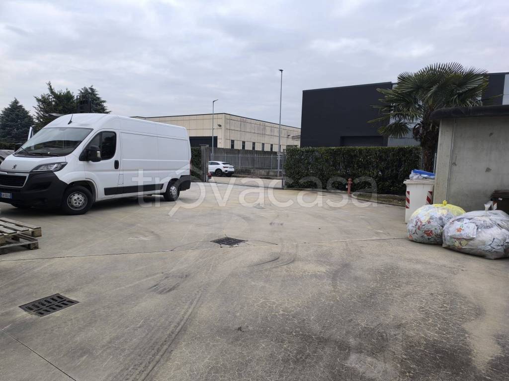 immagine annuncio 4 di 15