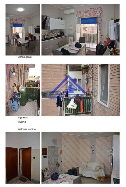 immagine annuncio 3 di 7